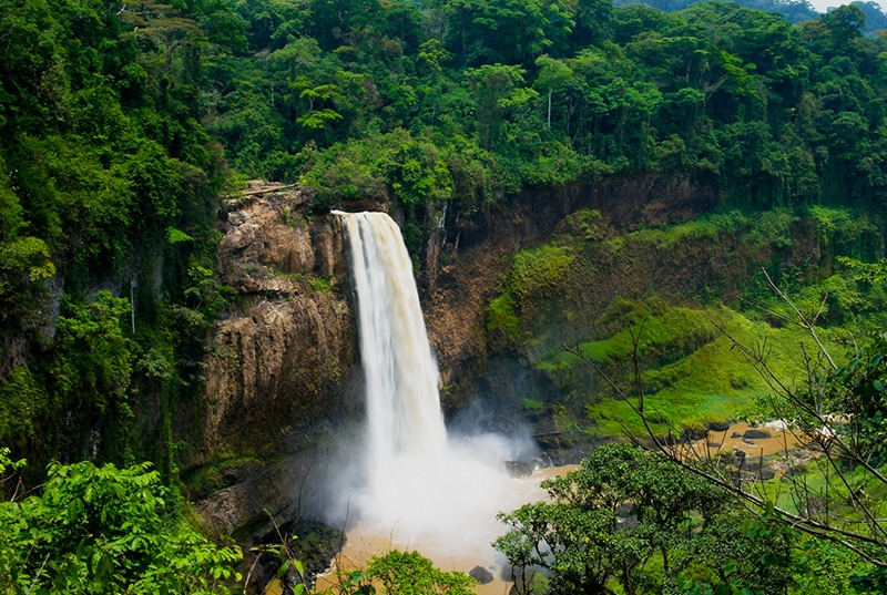 Services Ria Cameroun