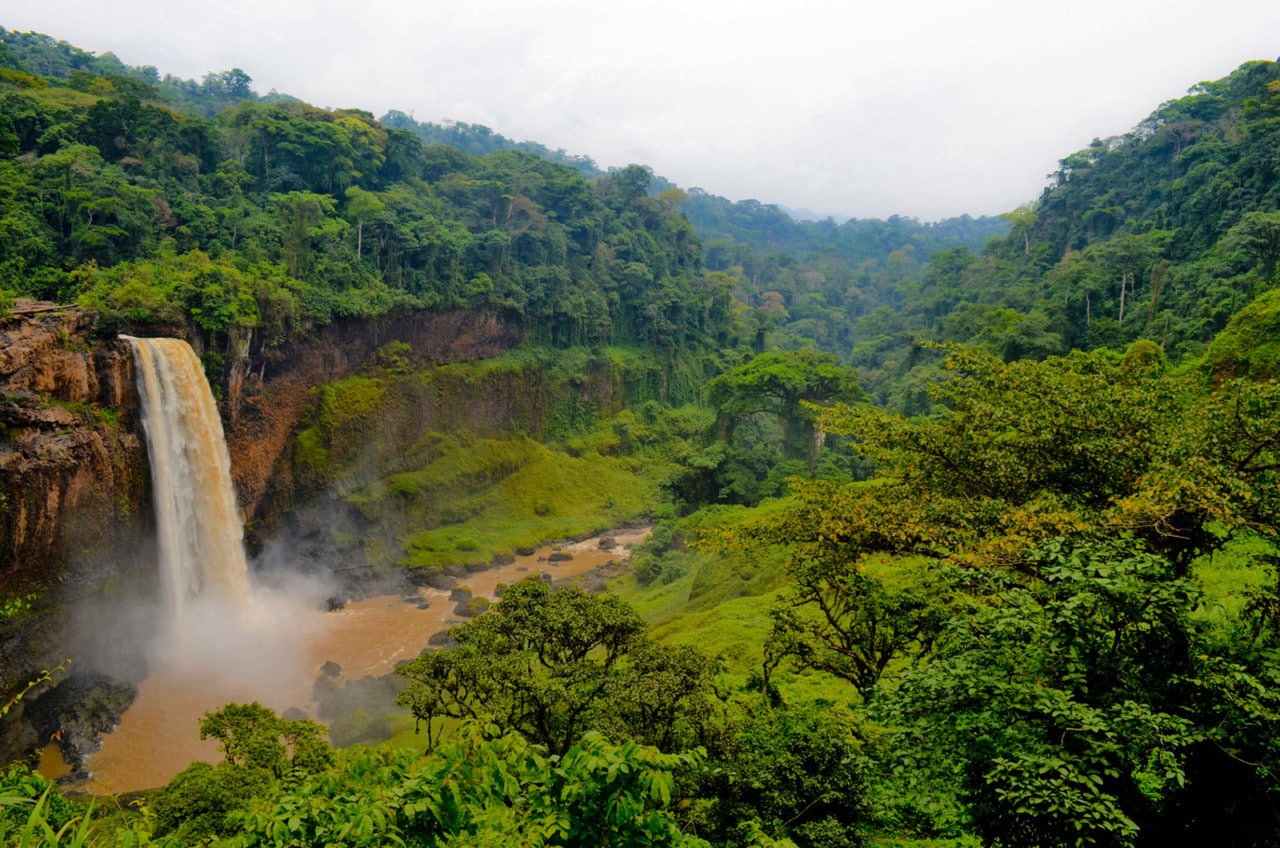 Vol Cameroun : prix billets